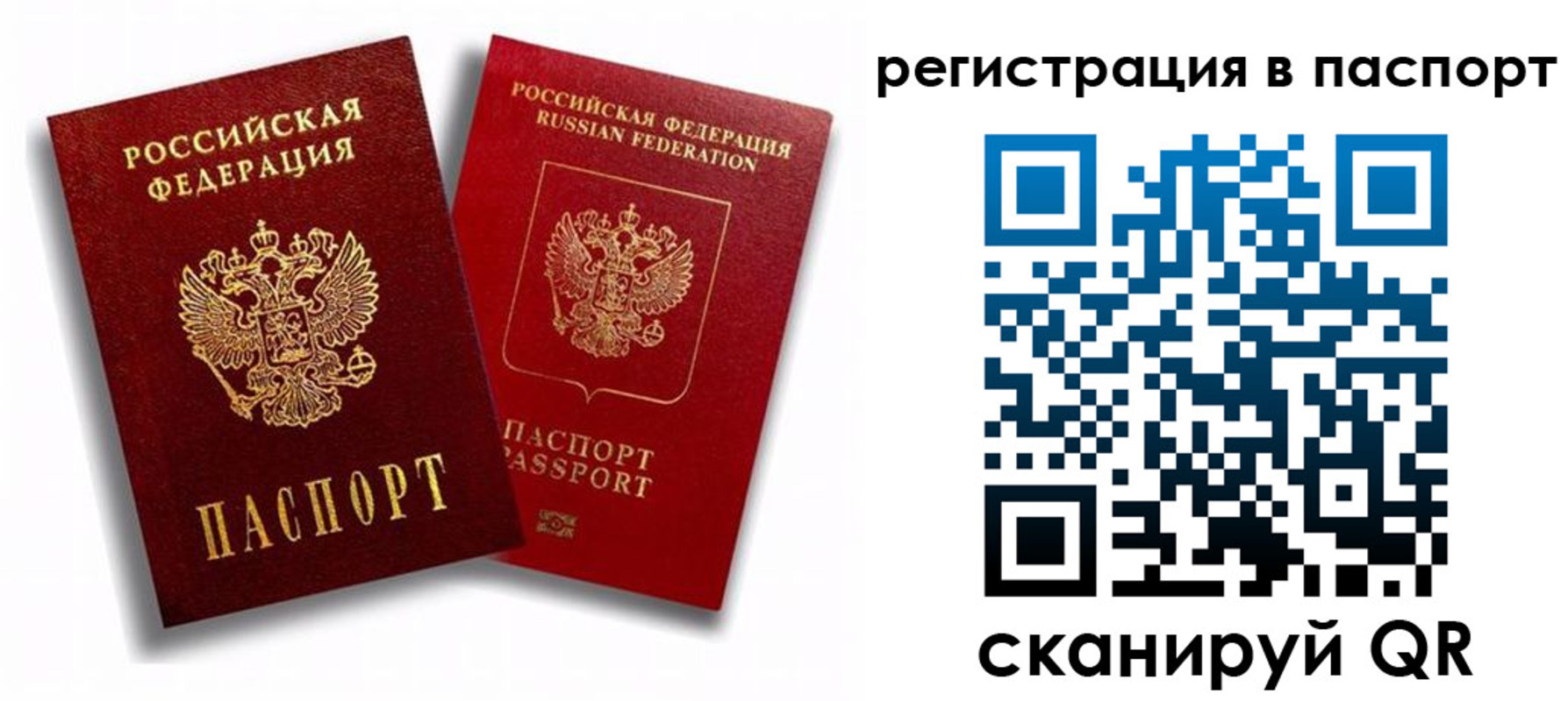 прописка 2025 в Истре